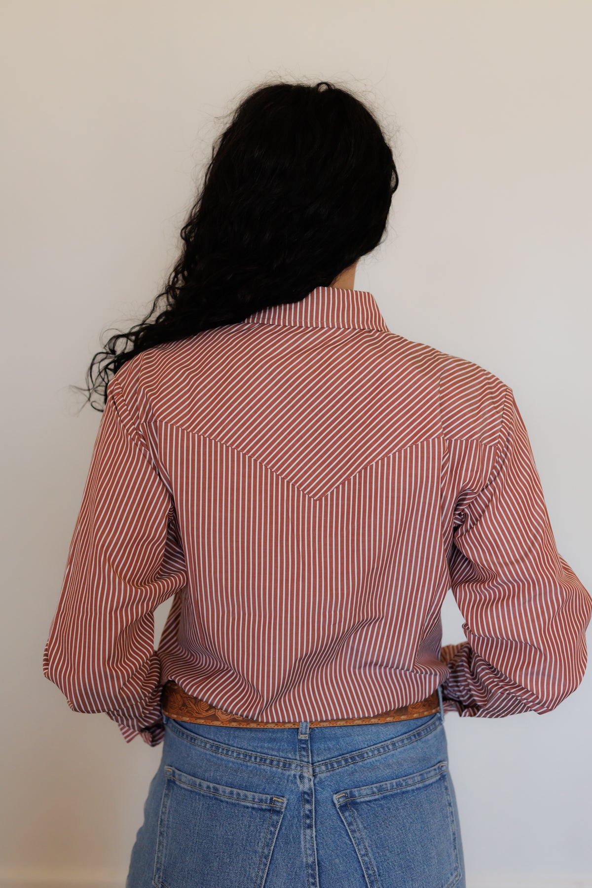 Rust Stripe Long Sleeve Pearl Snap (HH19)
