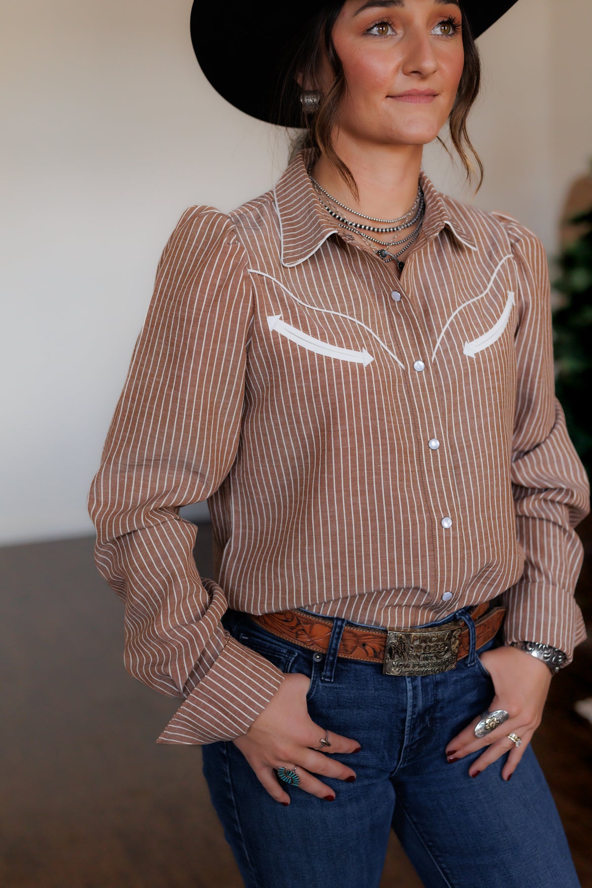 Brown Stripe Pearl Snap Long Sleeve HH2708