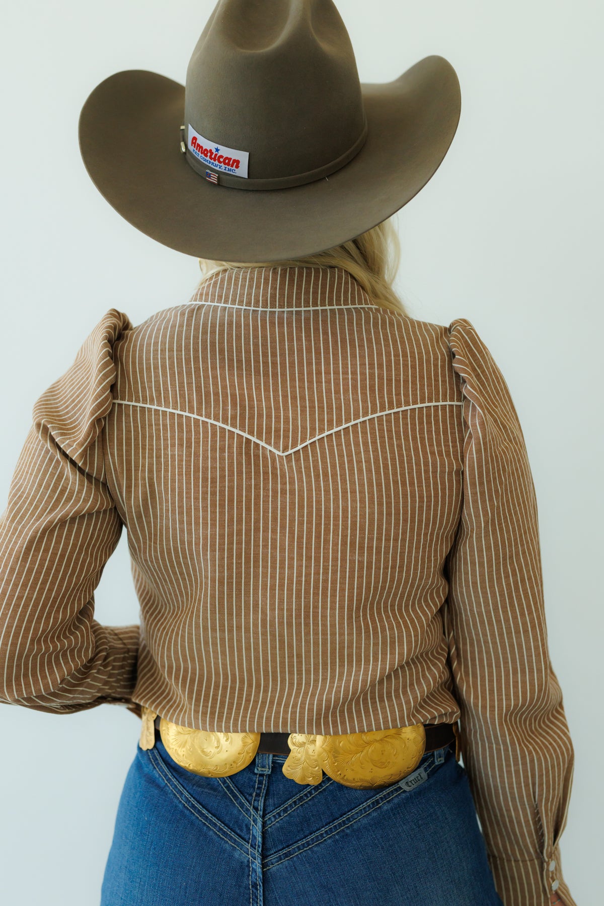 Brown Stripe Pearl Snap Long Sleeve HH2708